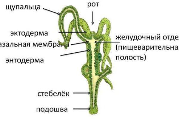 Кракен запрещен